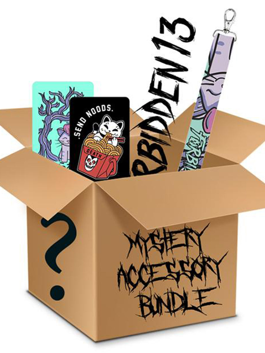 Mystery Accessory Bundle